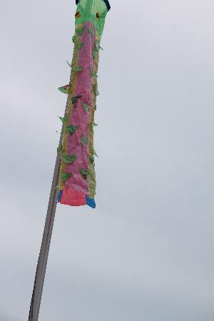 運動4